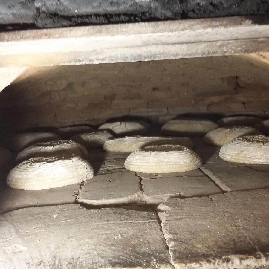 Biohof Koeck Tonibauer Villa Zeutschach Bagian luar foto