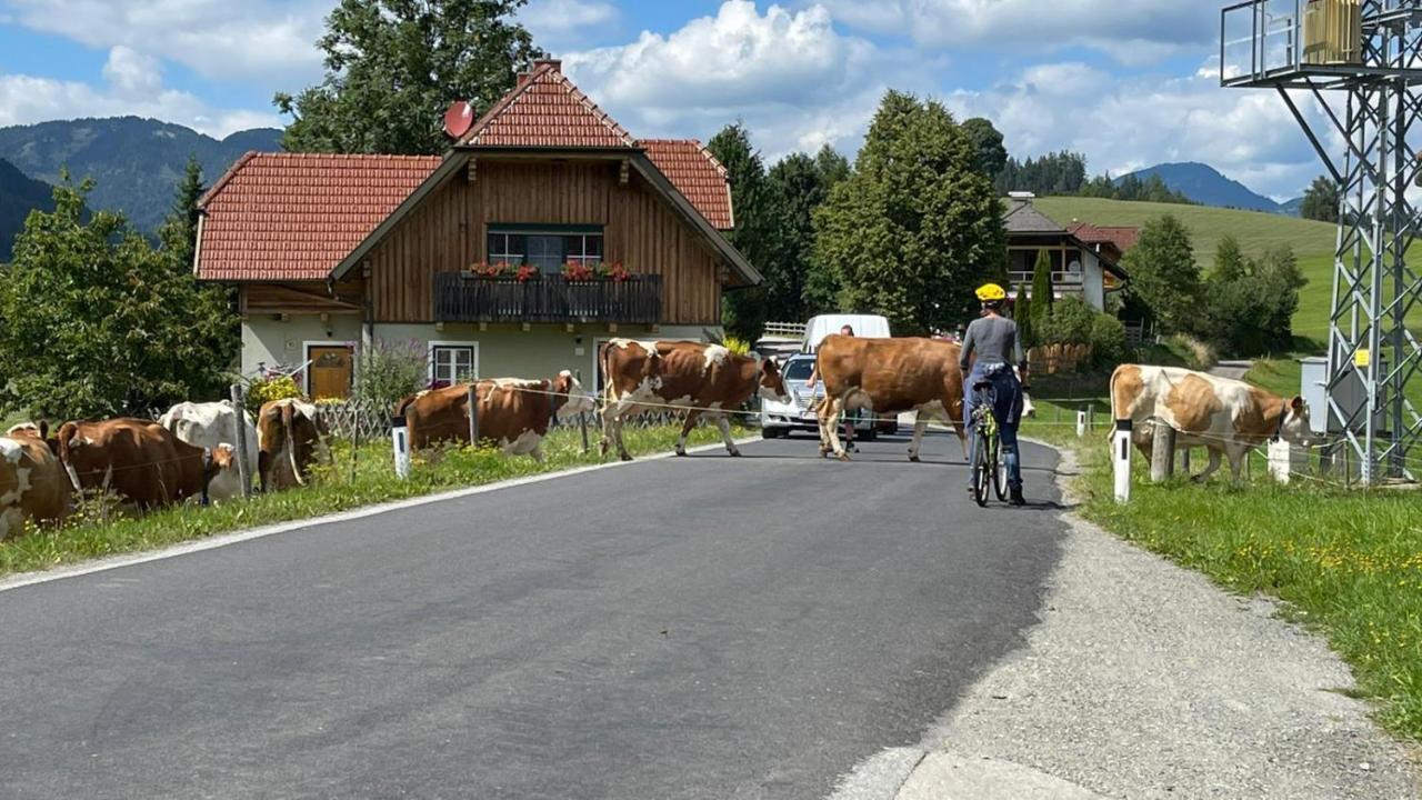 Biohof Koeck Tonibauer Villa Zeutschach Bagian luar foto