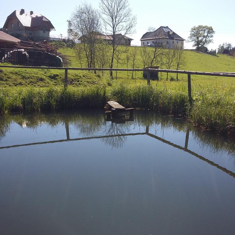 Biohof Koeck Tonibauer Villa Zeutschach Bagian luar foto