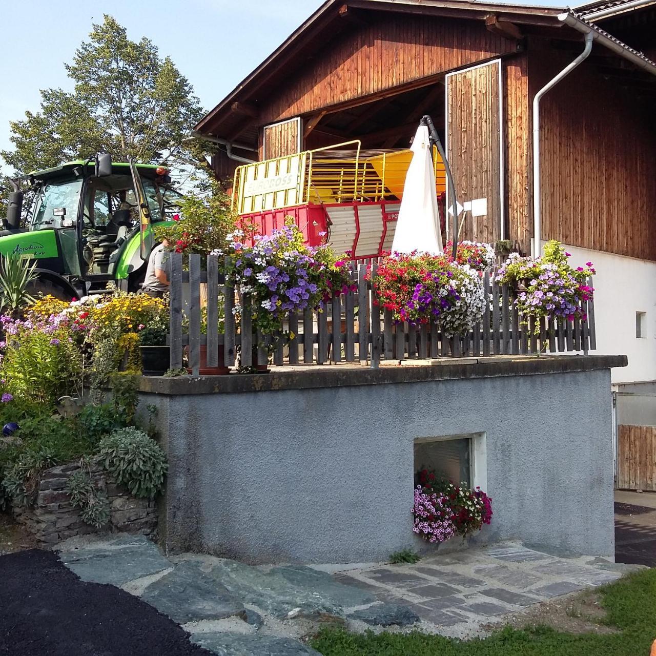 Biohof Koeck Tonibauer Villa Zeutschach Bagian luar foto